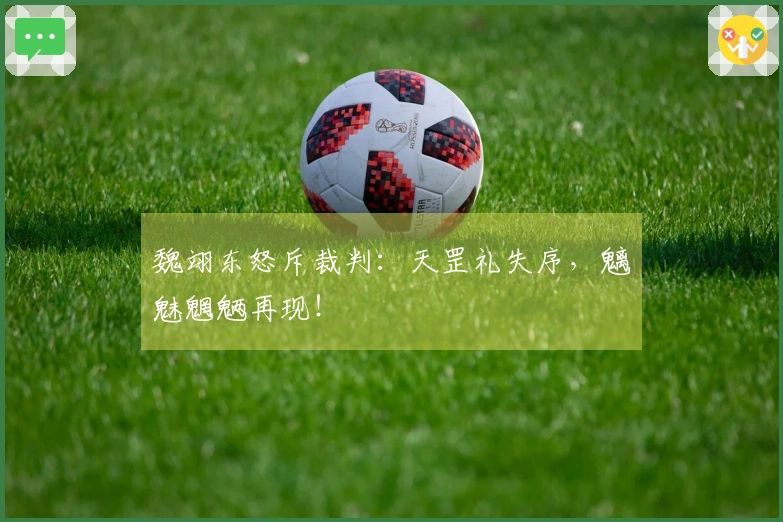 魏翊东怒斥裁判：天罡礼失序，魑魅魍魉再现！